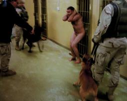 iraqiprisonerdog.jpg