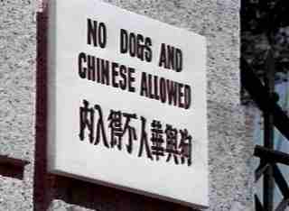 Image result for chinese discrimination